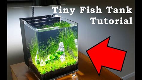 圓形魚缸造景|7分鐘學會小缸無痛造景 HOW TO make a mini fish tank